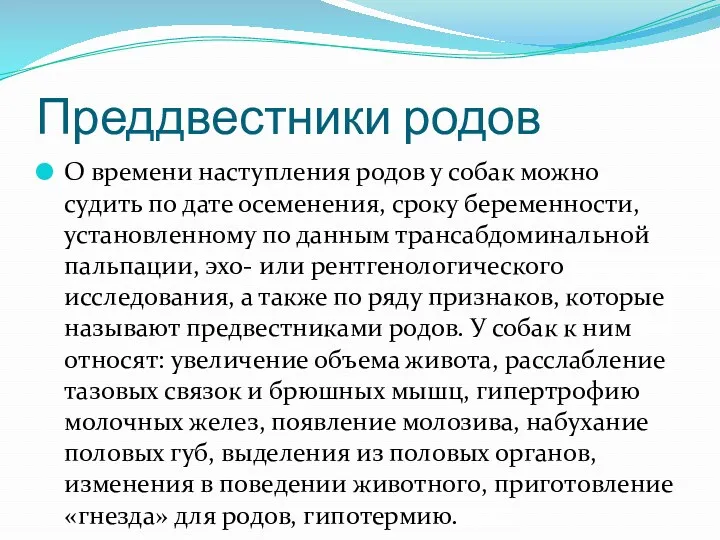 Преддвестники родов О времени наступления родов у собак можно судить