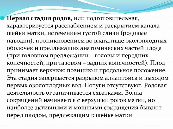 Первая стадия родов, или подготовительная, характеризуется расслаблением и раскрытием канала