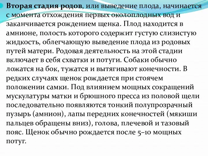 Вторая стадия родов, или выведение плода, начинается с момента отхождения