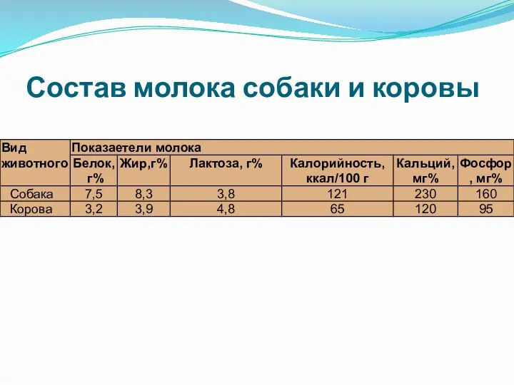 Состав молока собаки и коровы