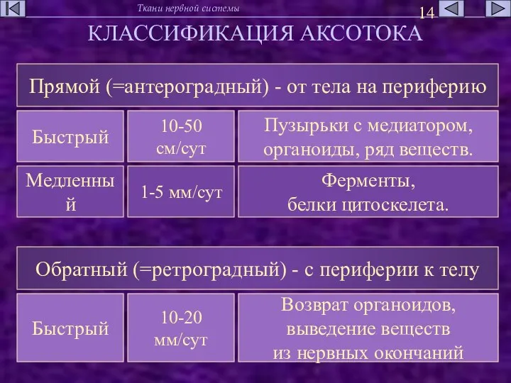 КЛАССИФИКАЦИЯ АКСОТОКА Прямой (=антероградный) - от тела на периферию Обратный