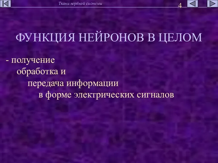 ФУНКЦИЯ НЕЙРОНОВ В ЦЕЛОМ - получение обработка и передача информации в форме электрических сигналов