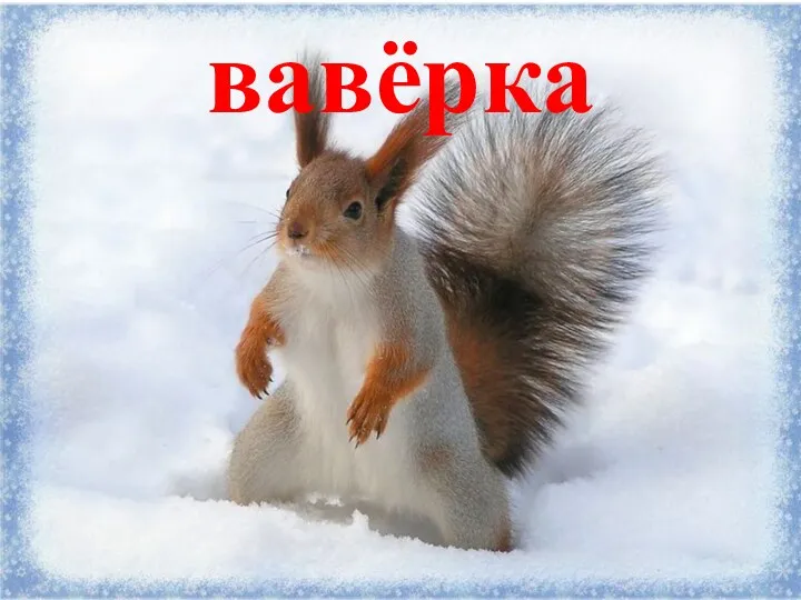 вавёрка