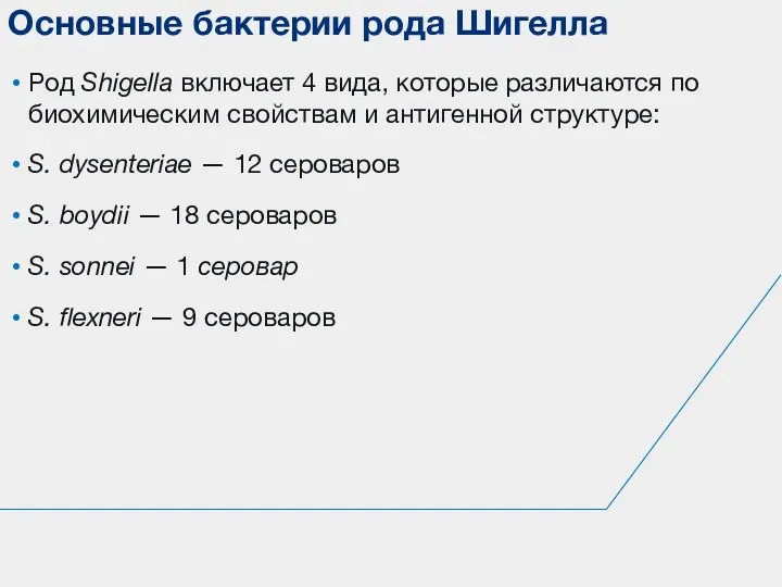 Род Shigella включает 4 вида, которые раз­личаются по биохимическим свойствам