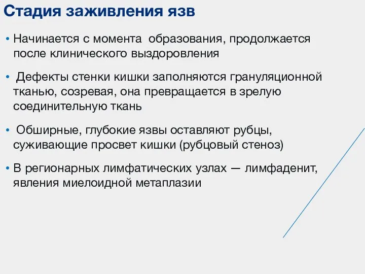 Начинается с момента образования, продолжается после клинического выздоровления Дефекты стенки