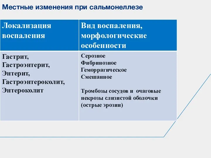 Местные изменения при сальмонеллезе