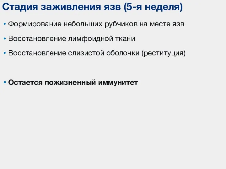 Формирование небольших рубчиков на месте язв Восстановление лимфоидной ткани Восстановление