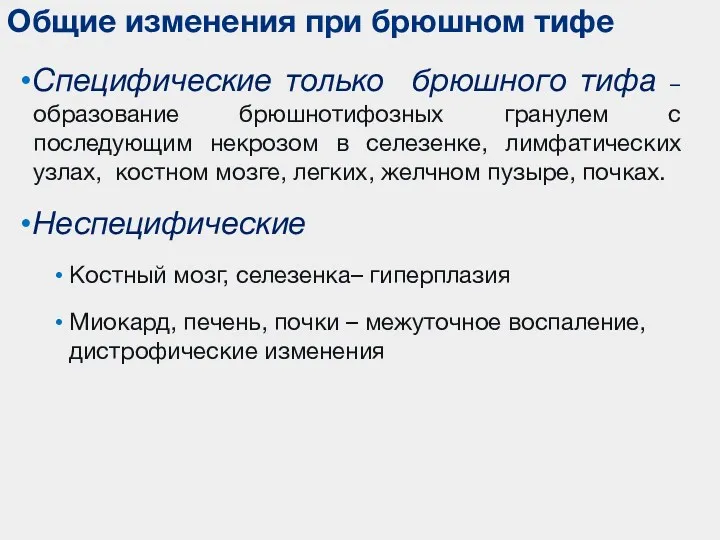 Специфические только брюшного тифа – образование брюшнотифозных гранулем с последующим