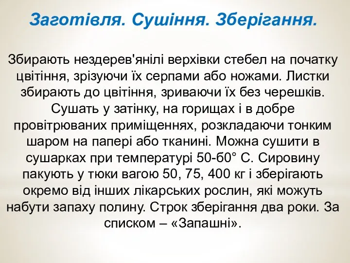 Заготівля. Сушіння. Зберігання. Збирають нездерев'янілі верхівки стебел на початку цвітіння,