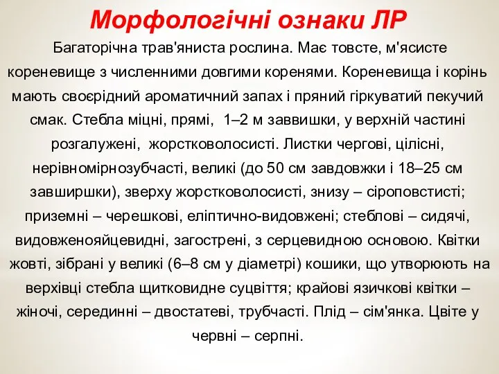 Морфологічні ознаки ЛР Багаторічна трав'яниста рослина. Має товсте, м'ясисте кореневище