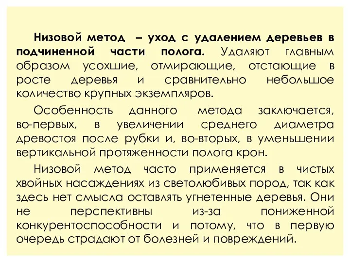 Низовой метод – уход с удалением деревьев в подчиненной части