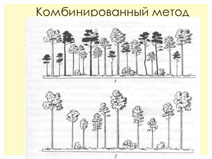 Комбинированный метод