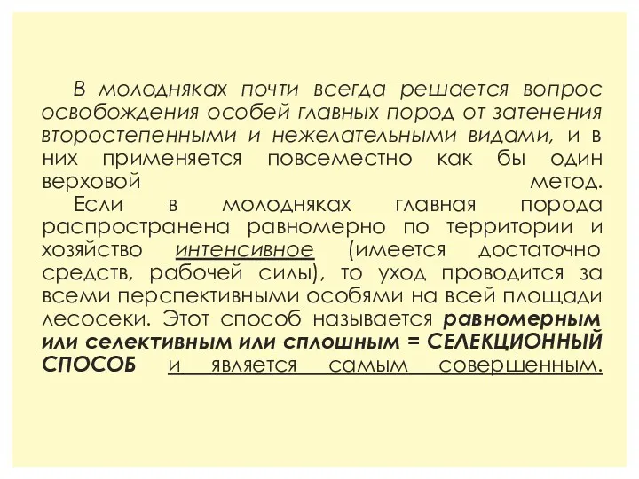 В молодняках почти всегда решается вопрос освобождения особей главных пород