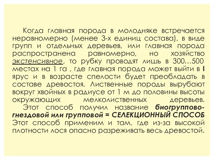 Когда главная порода в молодняке встречается неравномерно (менее 3-х единиц