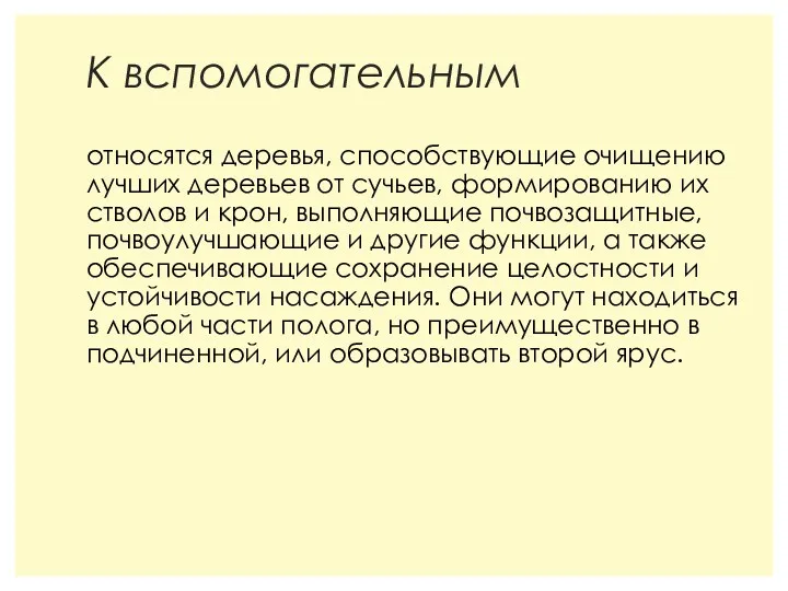 К вспомогательным относятся деревья, способствующие очищению лучших деревьев от сучьев,