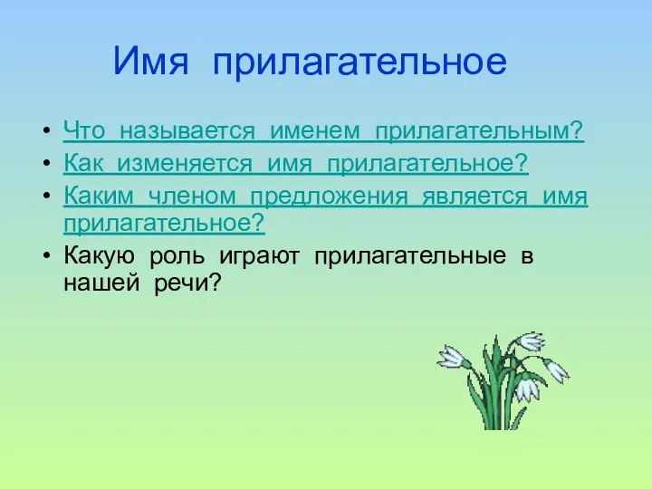 Имя прилагательное Что называется именем прилагательным? Как изменяется имя прилагательное?