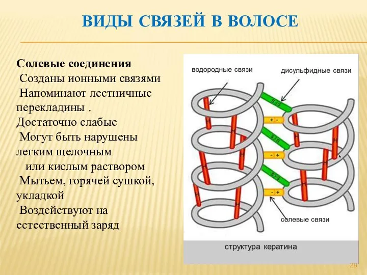 ВИДЫ СВЯЗЕЙ В ВОЛОСЕ Солевые соединения Созданы ионными связями Напоминают