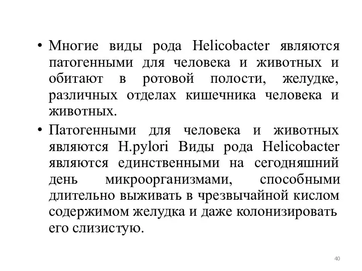 Многие виды рода Helicobacter являются патогенными для человека и животных и обитают в