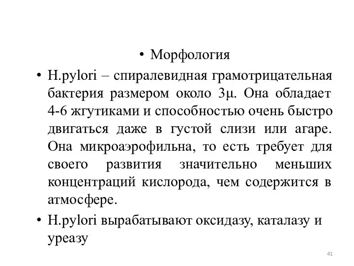 Морфология H.pylori – спиралевидная грамотрицательная бактерия размером около 3μ. Она обладает 4-6 жгутиками