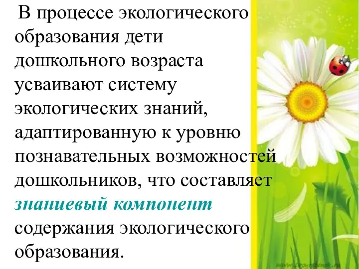 В процессе экологического образования дети дошкольного возраста усваивают систему экологических