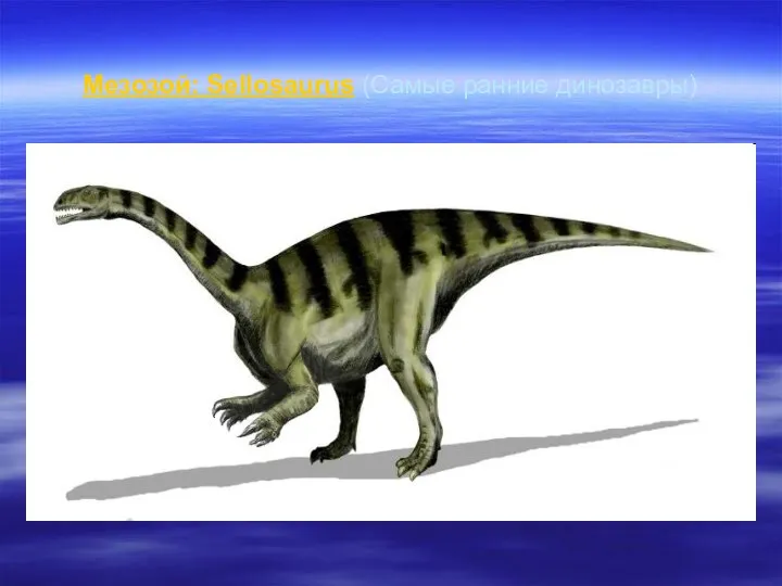 Мезозой: Sellosaurus (Самые ранние динозавры)