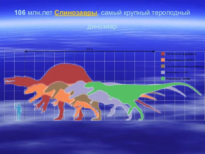 106 млн.лет Спинозавры, самый крупный тероподный динозавр