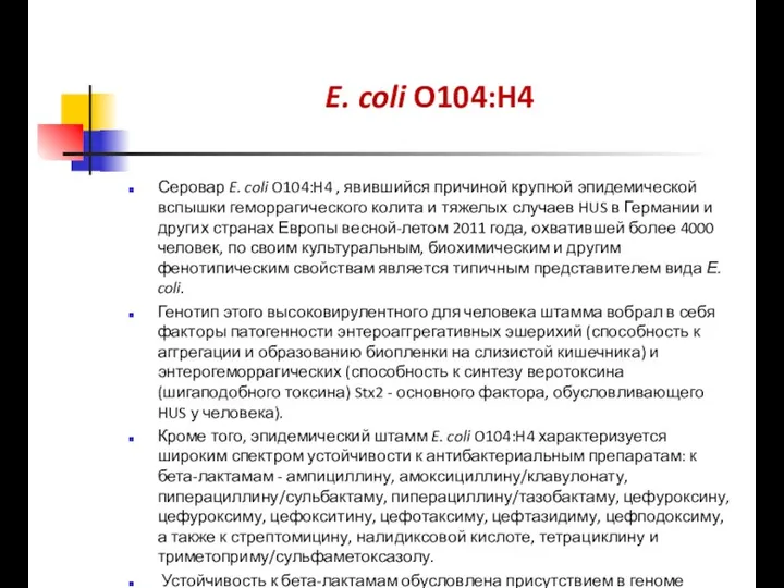 E. coli O104:H4 Серовар E. coli O104:H4 , явившийся причиной