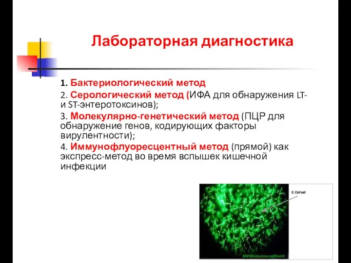 Лабораторная диагностика 1. Бактериологический метод 2. Серологический метод (ИФА для