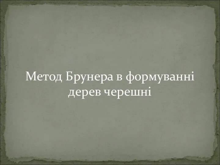 Метод Брунера в формуванні дерев черешні