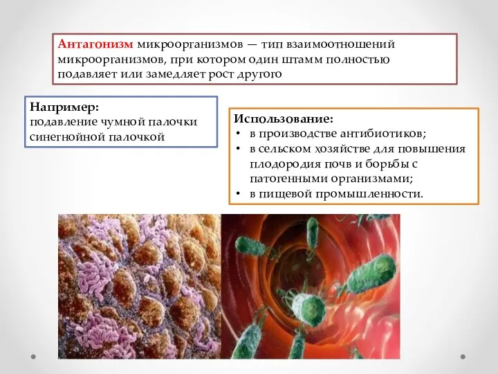 Антагонизм микроорганизмов — тип взаимоотношений микроорганизмов, при котором один штамм