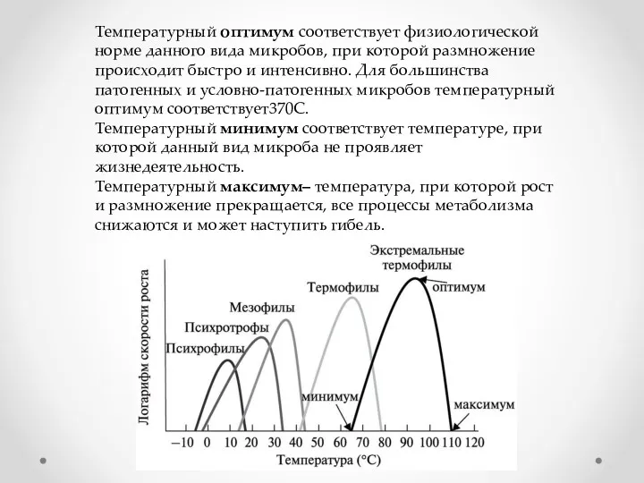 Температурный оптимум соответствует физиологической норме данного вида микробов, при которой