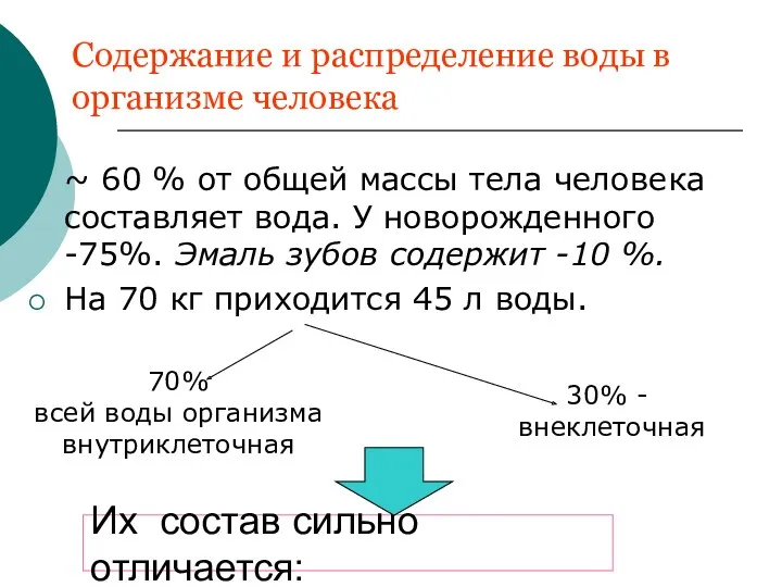 Содержание и распределение воды в организме человека ~ 60 %