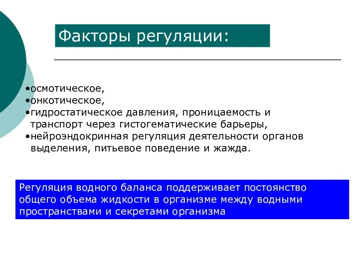 Факторы регуляции: осмотическое, онкотическое, гидростатическое давления, проницаемость и транспорт через