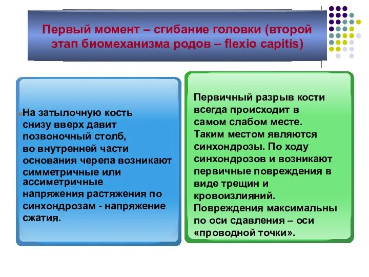 Первый момент – сгибание головки (второй этап биомеханизма родов –