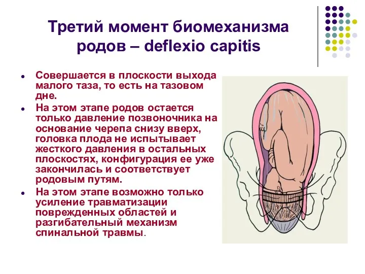 Третий момент биомеханизма родов – deflexio capitis Совершается в плоскости