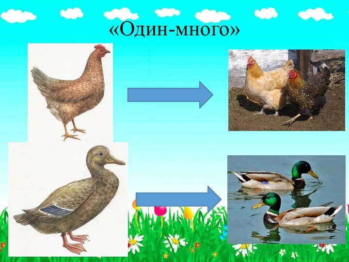 «Один-много»