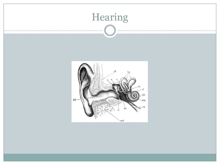 Hearing