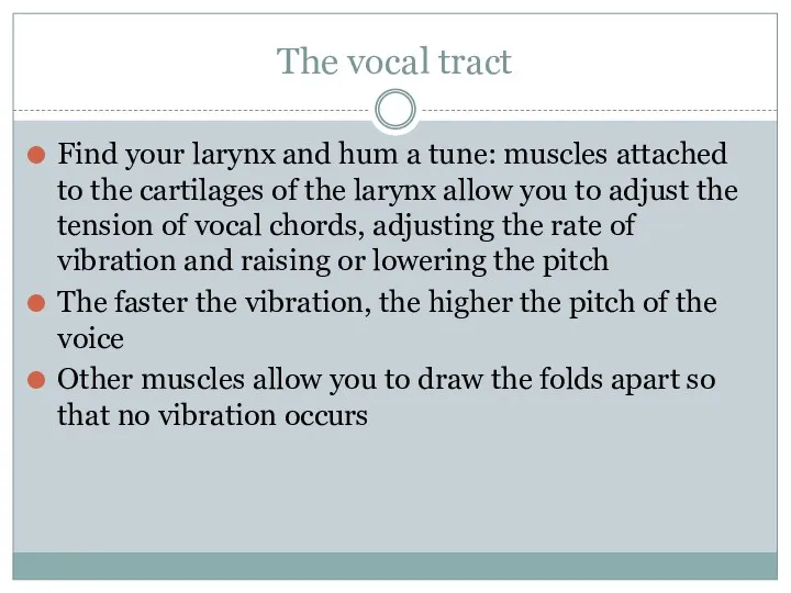 The vocal tract Find your larynx and hum a tune: