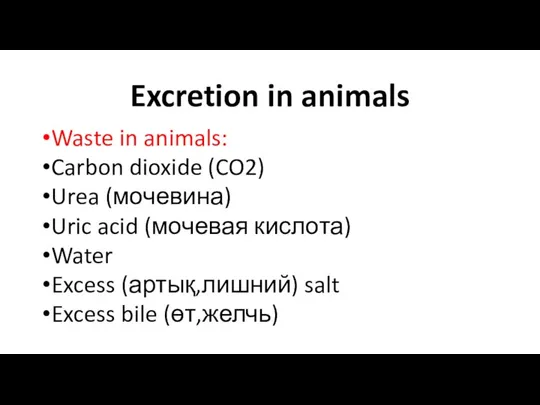 Excretion in animals Waste in animals: Carbon dioxide (CO2) Urea