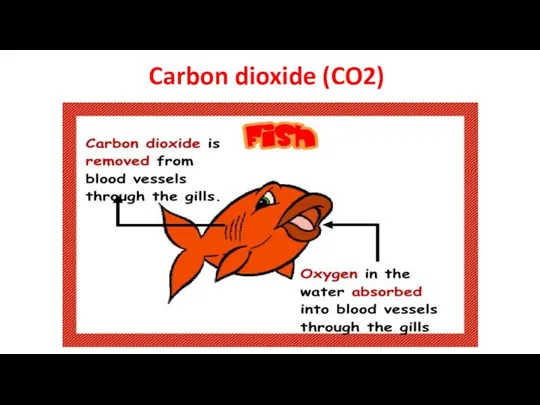 Carbon dioxide (CO2)