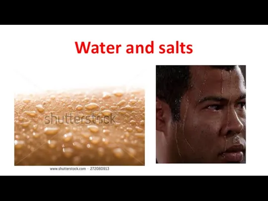 Water and salts