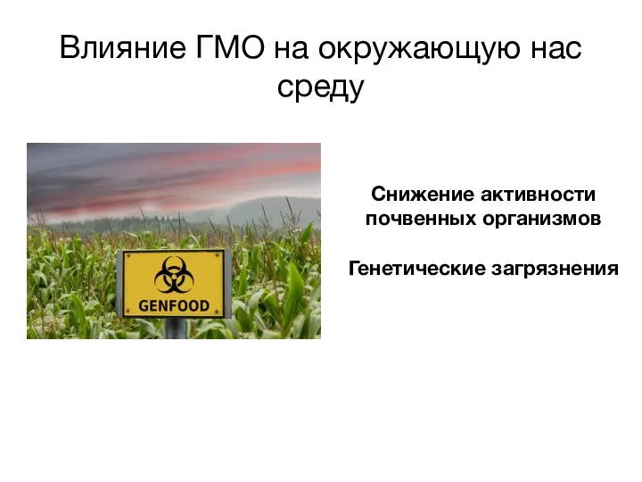 Влияние ГМО на окружающую нас среду Снижение активности почвенных организмов Генетические загрязнения