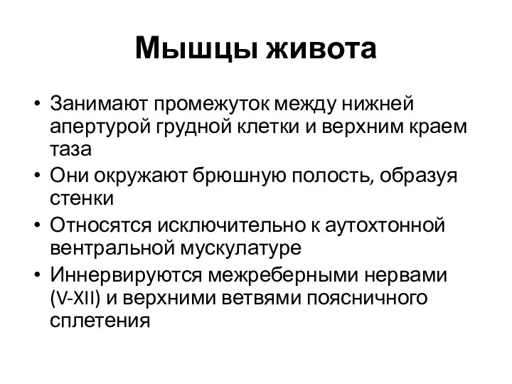 Мышцы живота Занимают промежуток между нижней апертурой грудной клетки и