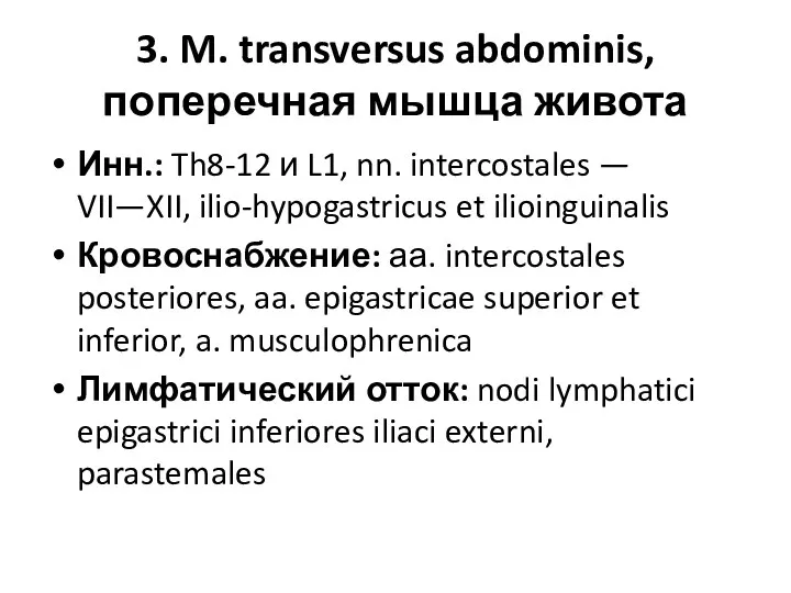 3. M. transversus abdominis, поперечная мышца живота Инн.: Th8-12 и