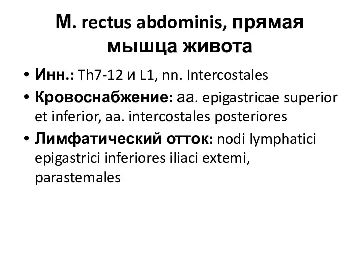 М. rectus abdominis, прямая мышца живота Инн.: Th7-12 и L1,