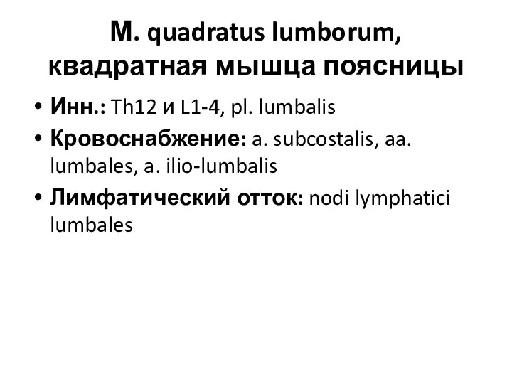 М. quadratus lumborum, квадратная мышца поясницы Инн.: Th12 и L1-4,