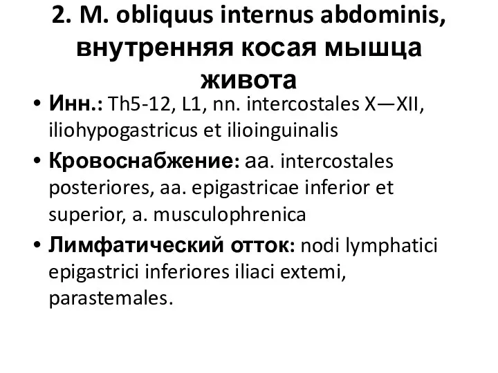 2. M. obliquus internus abdominis, внутренняя косая мышца живота Инн.:
