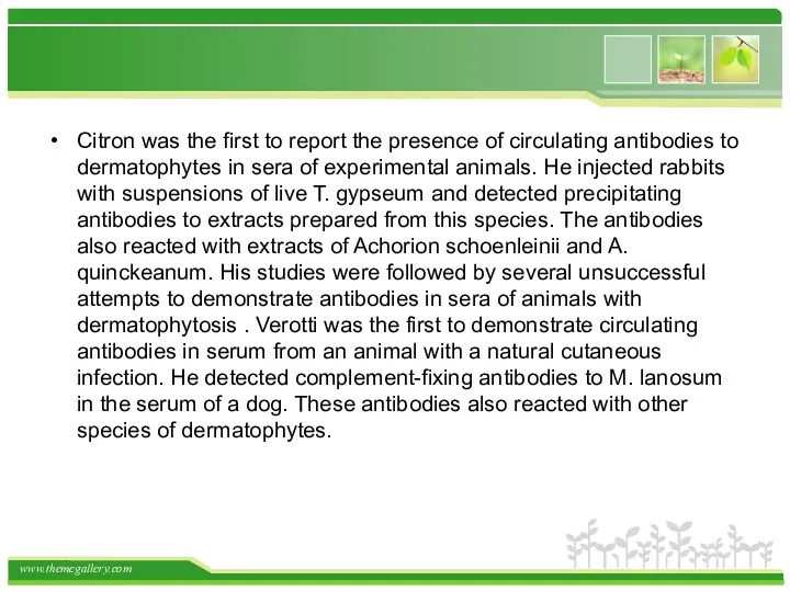 Citron was the first to report the presence of circulating antibodies to dermatophytes