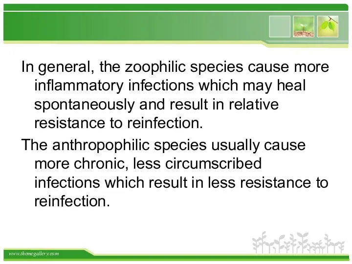 In general, the zoophilic species cause more inflammatory infections which
