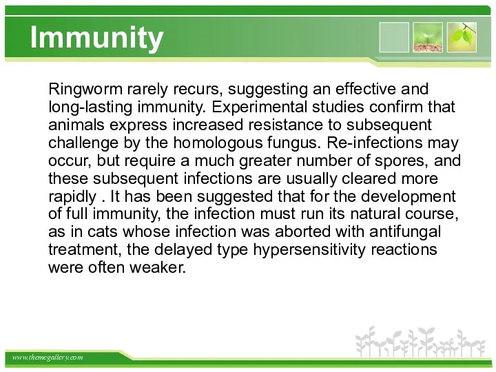 Immunity Ringworm rarely recurs, suggesting an effective and long-lasting immunity. Experimental studies confirm